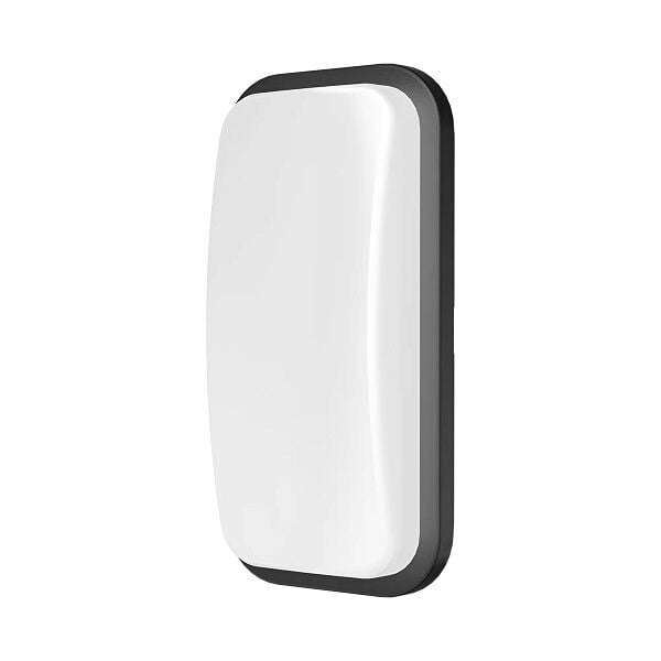 Braytron Walls-B-Elp 15W 6500K Gri Duvar Armatür