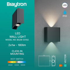 Braytron Vector 2X1W 3CCT GRI IP65 Ledli Duvar Armatür