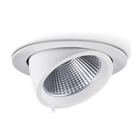 MOL2070 DELİK ÇAPI 12,5 CM LED SALYANGOZ SPOT