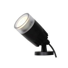 Çiçek Çim Ve Duvar Spot