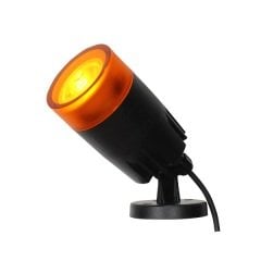 Çiçek Çim Ve Duvar Spot