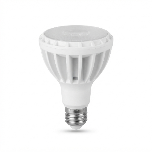 Ycl PAR30 Led Ampul 25W 220V