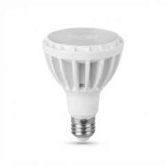 Ycl PAR30 Led Ampul 25W 220V