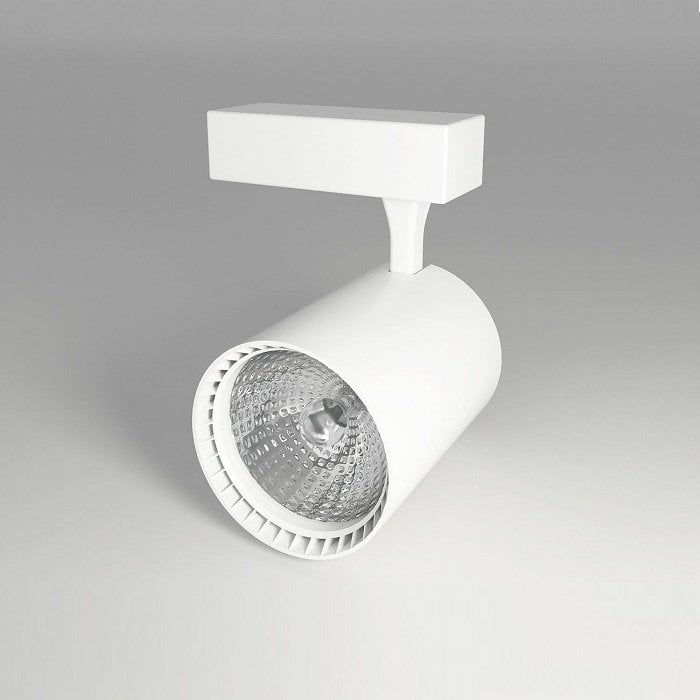 Ycl 30W Led Ray Spot