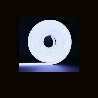 MOL2514 12 VOLT 6500K NEON LED 5 METRE SARGILI