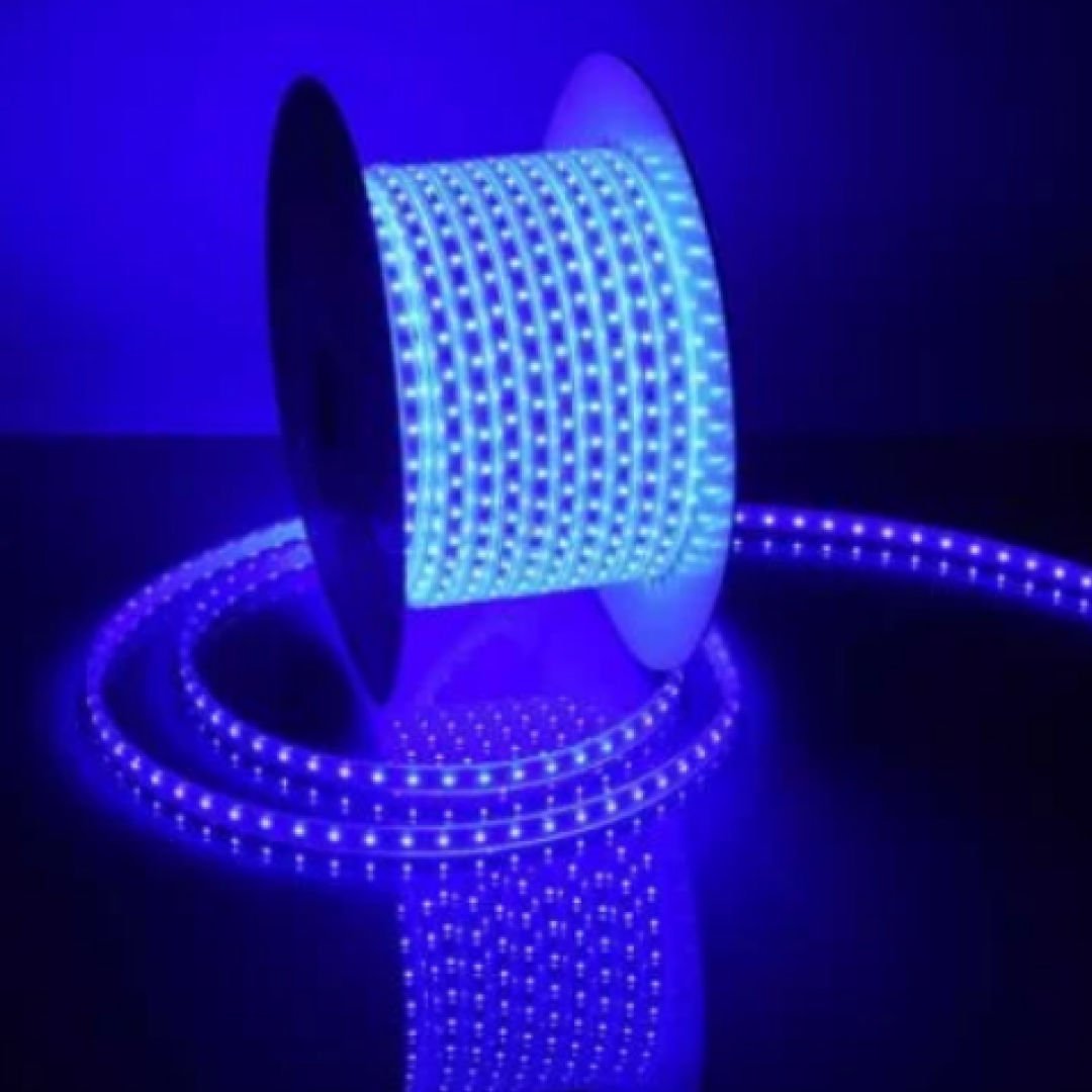 Jupıter Le221 220V İç/Dış Mekan Şerit Led Mavi