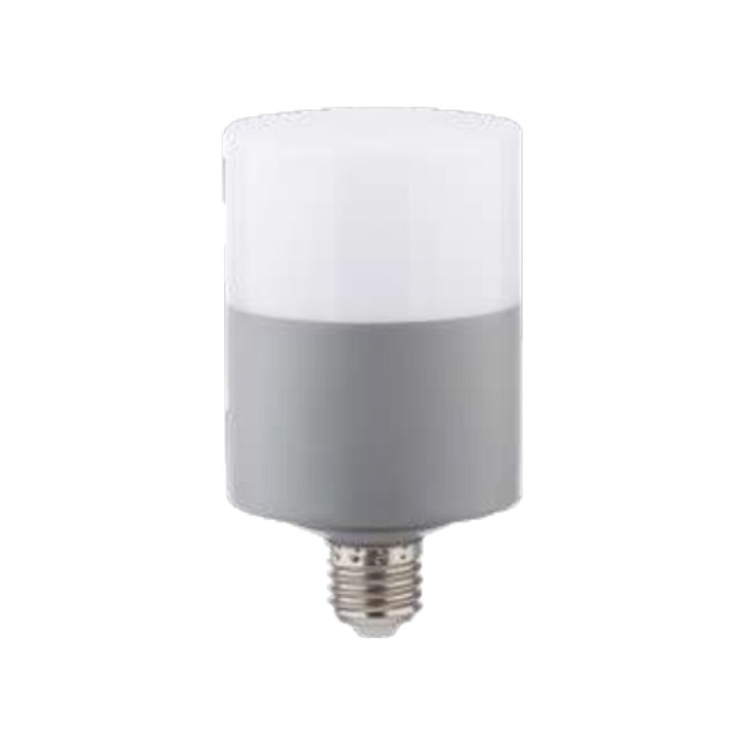 Zmr 20W Oval Dekoratif T-Bulb Led Ampul  E27