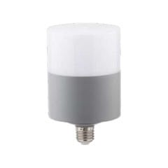 Zmr 30W Oval Dekoratif T-Bulb Led Ampul  E27