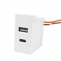 Ne-Ad 45x22,5 mm Çiftli USB Şarj Adaptörü (A/C) (3.4 A)