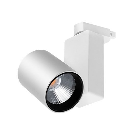 Braytron-30W Cob 3000K Beyaz Monofaze Ray Spot