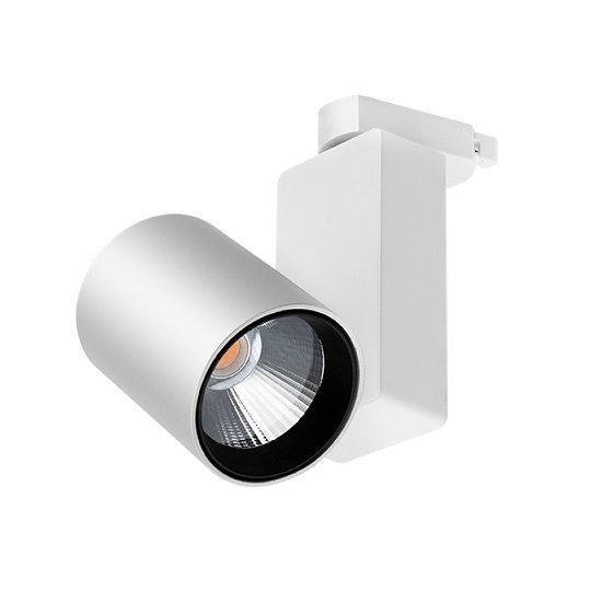 Braytron-30W Cob 4000K Beyaz Monofaze Ray Spot