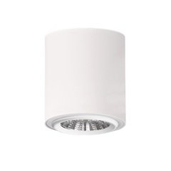 Lamptıme 740449 Sıva Ustu Cob Downlıght 30W Yuvarlak Beyaz Gövde 4000K Ilık Beyaz