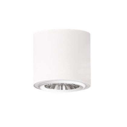 Lamptıme 740650 Sıva Ustu Cob Downlıght 15W Yuvarlak Beyaz Gövde 6500K Beyaz Işık