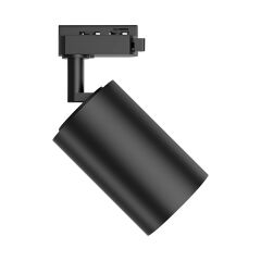 Braytron Shopline - Monofaze 30W 3CCT Siyah Monofaze Ray Spot