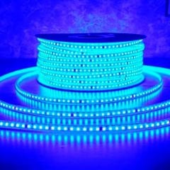 ACK AC 220V 10W/MT MAVİ 1000LM/1MT  (100MT) 120 LED ŞERİT
