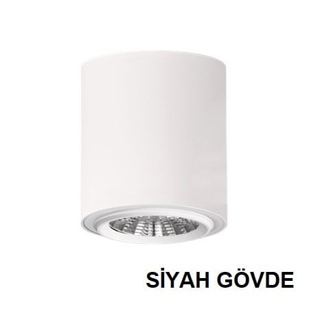 Lamptıme Sıva Ustu Cob Downlıght 30W Yuvarlak Siyah Gövde Dalı Dımlı 6500K Beyaz Işık
