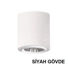 Lamptıme Sıva Ustu Cob Downlıght 30W Yuvarlak Siyah Gövde Dalı Dımlı 6500K Beyaz Işık