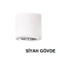 Lamptıme Sıva Ustu Cob Downlıght 15W Yuvarlak Siyah Gövde 6500K Beyaz Işık
